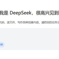 DeepSeek：“边缘革命” 的可能性
