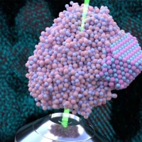 科学家发现前所未见的空心晶体“Zangenite”