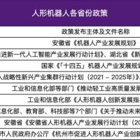 从马拉松到格斗大赛，人形机器人在教育行业的奇点时刻还有多远？