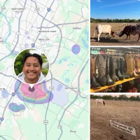 Google Photos 推出全新 AI 图像编辑工具