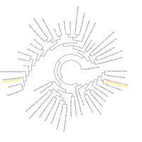 DeepSeek可能使用了Google的Gemini来训练其最新模型