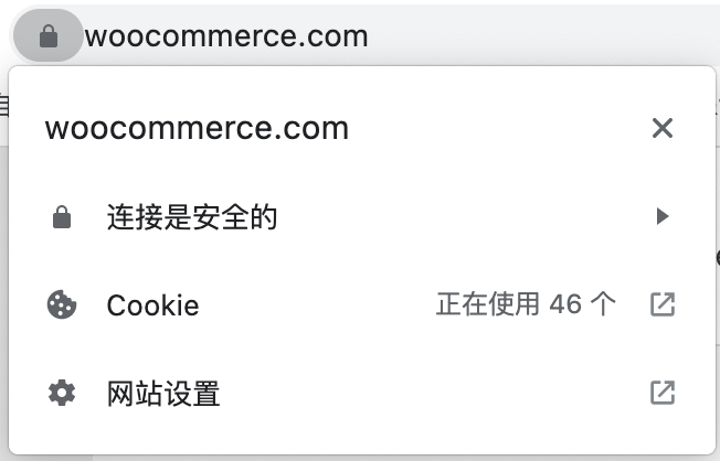 “连接是安全的”