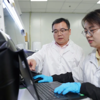 使用寿命超18万小时！我国研制出超稳定钙钛矿LED