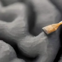 脑信号实时转语音，不开口也能说话了？