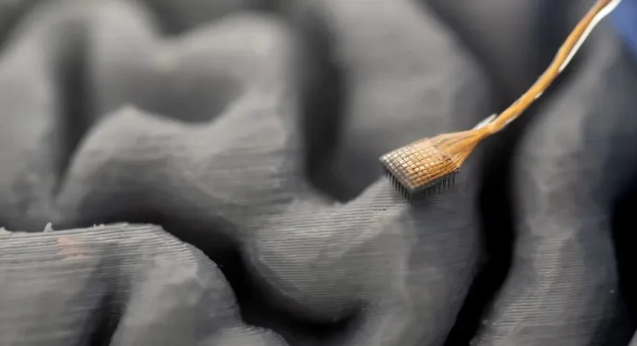 脑信号实时转语音，不开口也能说话了？