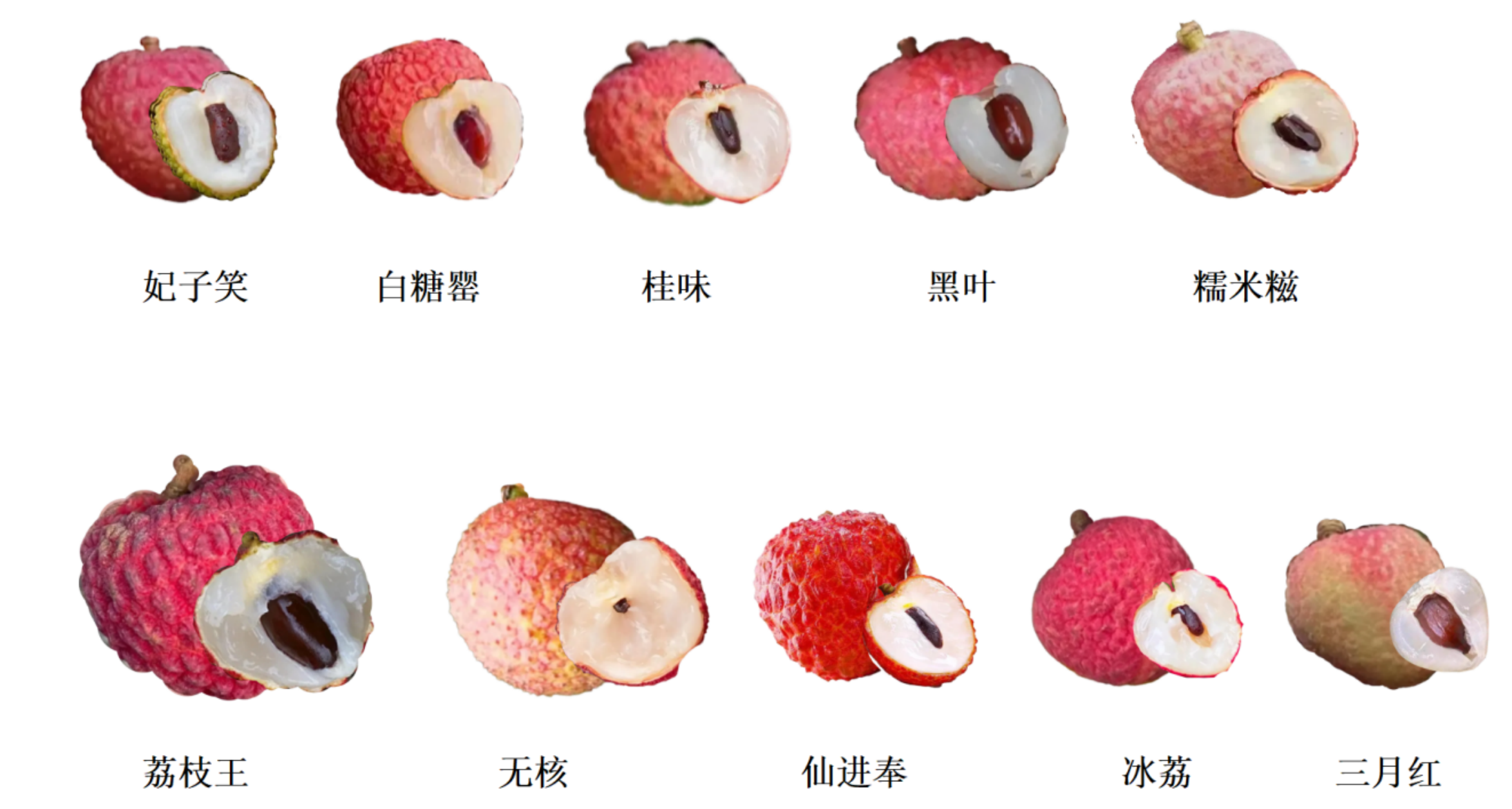 今年荔枝大丰收 10 种热门荔枝口感大PK
