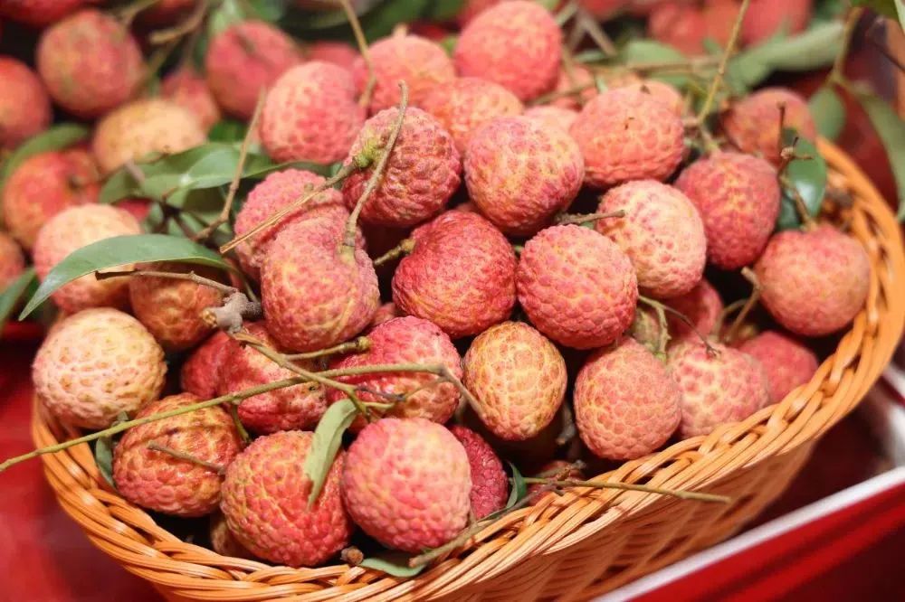 今年荔枝大丰收 10 种热门荔枝口感大PK