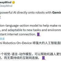 首个能在机器人上本地运行的具身Gemini来了
