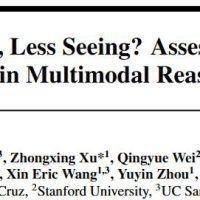 推理越多，幻觉越重？多模态推理模型的“幻觉悖论”