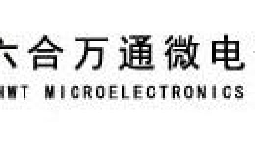 芯火三十年：根芽时代（2000-2010）