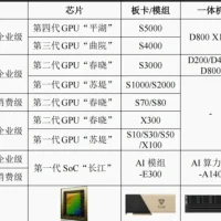 国产GPU爆发，但仍未迈过那道天堑