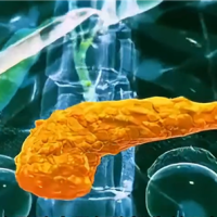 糖尿病突破！科学家成功3D打印全功能人类胰岛