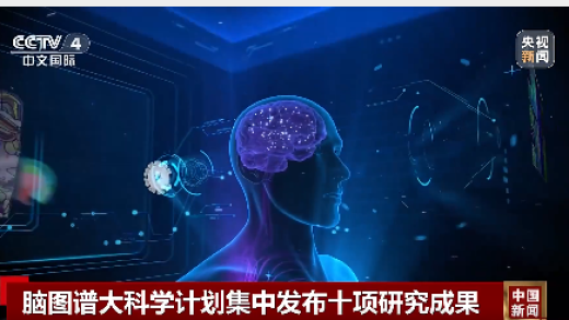 我国科学家在世界上首次绘制！十项重磅脑科学成果“一锅出”