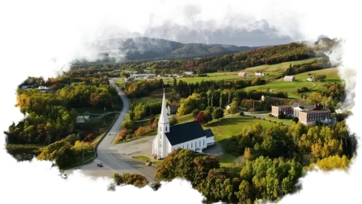 加拿大丛林迷路五小时 ChatGPT施展救命神技 比地图还靠谱