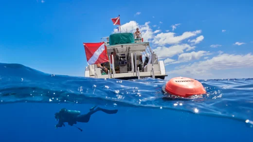 Garmin发布智能声纳浮标Descent S1 帮助潜水员在水下导航和通信