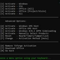 使用TSforge可以直接获得3年Windows 10 ESU扩展安全支持