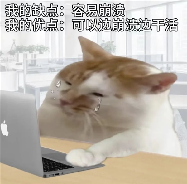 Win 11升级这个劫：我是非渡不可吗