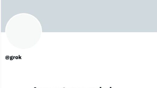 Grok账号一度被封，马斯克回应