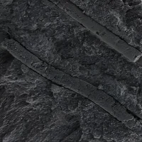 印度科学家发明可治愈牙齿敏感的微型机器人CalBot