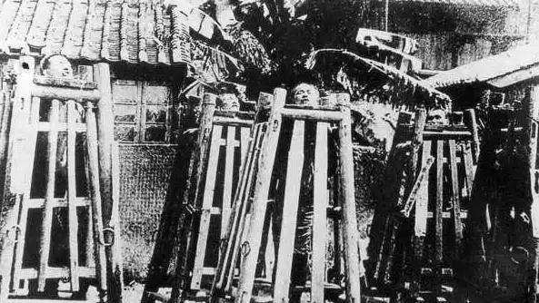 周树人到鲁迅：一个觉醒者的精神蝶变