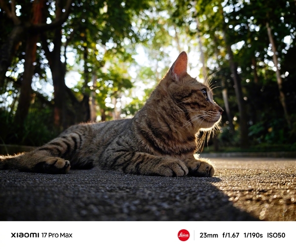 小米17系列全系搭载光学镀膜大满贯:抗鬼影、发雾、炫光