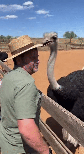 OpenAI Sora 2重磅登场 首个App上线