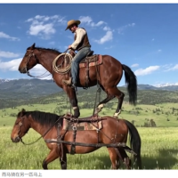 全球首个！OpenAI将推“AI版抖音”：禁止上传实拍内容 视频100%由AI生成