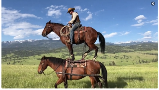 全球首个！OpenAI将推“AI版抖音”：禁止上传实拍内容 视频100%由AI生成