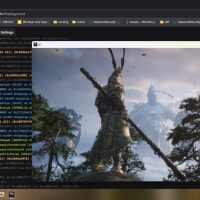 大神成功绕过《黑神话：悟空》新版D加密 但未发布学习补丁