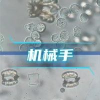 科幻成真！中国科学家造出纳米医生：不用挨针 直接吞下治病