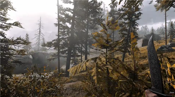 RTX 5090、8K分辨率下的《荒野大镖客2》：接近真实世界！