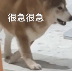 OpenAI被曝瞄准AI音乐赛道商业化,Suno首当其冲