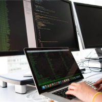 超越美国！2030年印度软件开发者数量将登顶全球第一