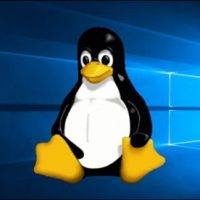 历史新高！已有9成游戏可在Linux上运行：不升Win10 能替代Win 11吗