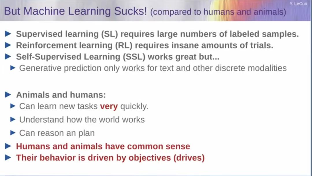 图灵奖得主LeCun最后警告Meta：我搞了40年AI，大模型是死路