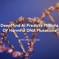 80后诺奖得主：AlphaFold下一步融合大模型