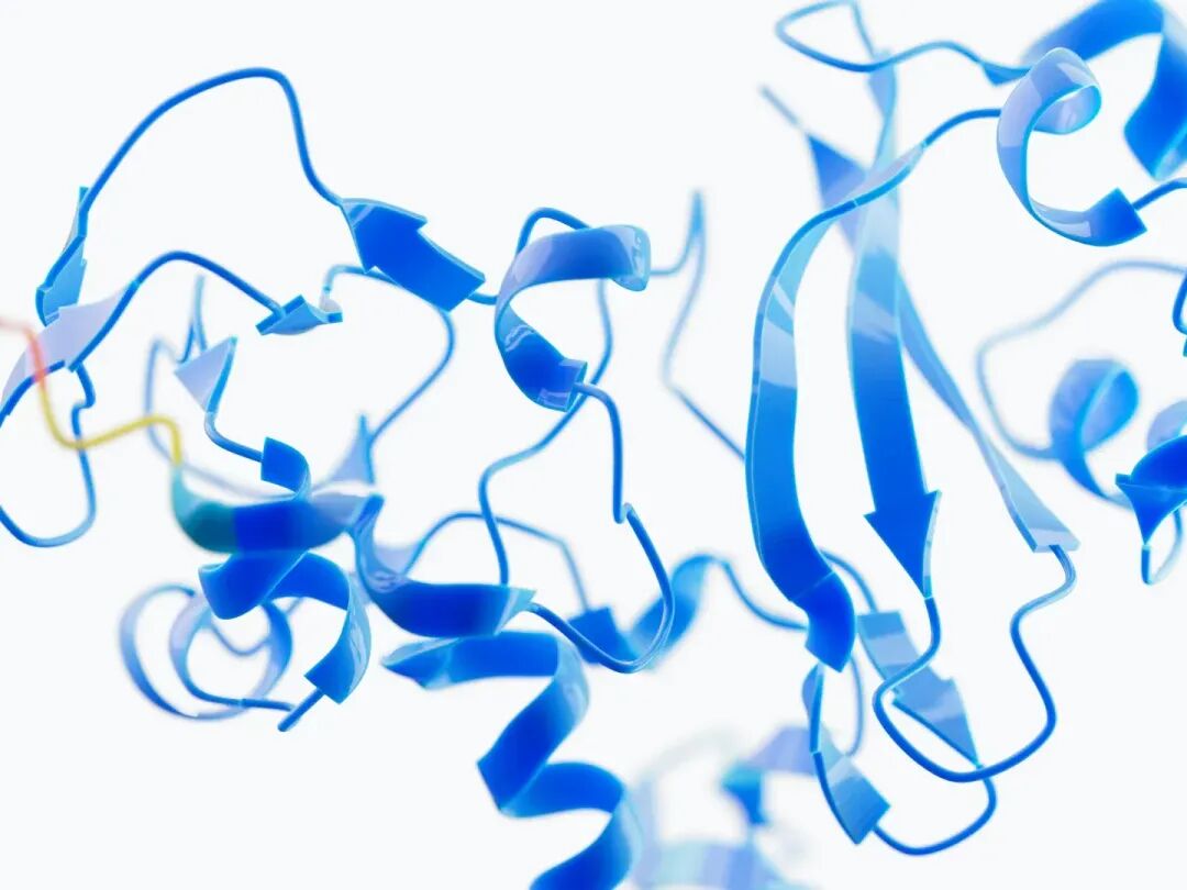 80后诺奖得主：AlphaFold下一步融合大模型