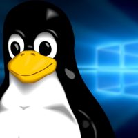 Win不再受信任 Linux桌面比想象的更多：12%的人都在用