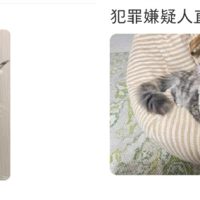 电影《疯狂动物城2》热映：一夜之间所有的缅因猫都在被盘问