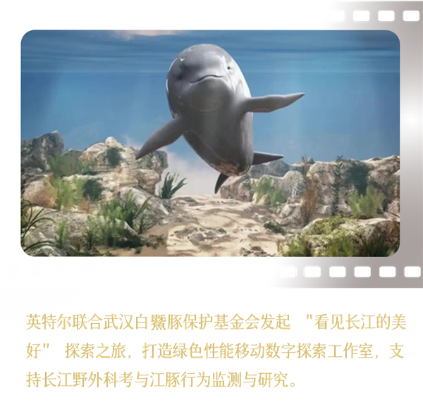 Intel中国整整40年了！揭开你不熟悉的另一面