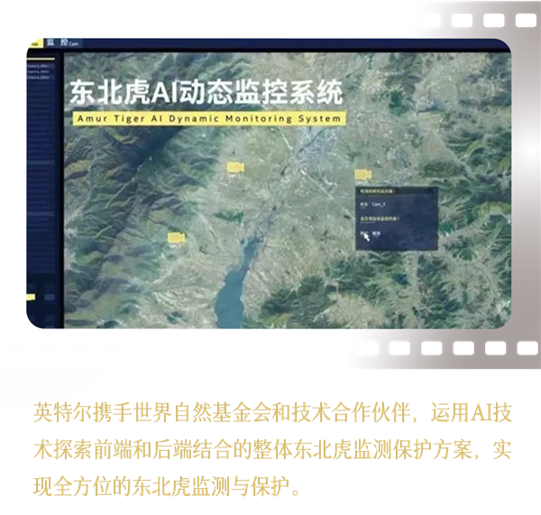 Intel中国整整40年了！揭开你不熟悉的另一面