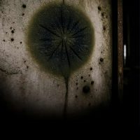 切尔诺贝利的真菌正在学会吸收强辐射 可能利用辐射进行未知的代谢