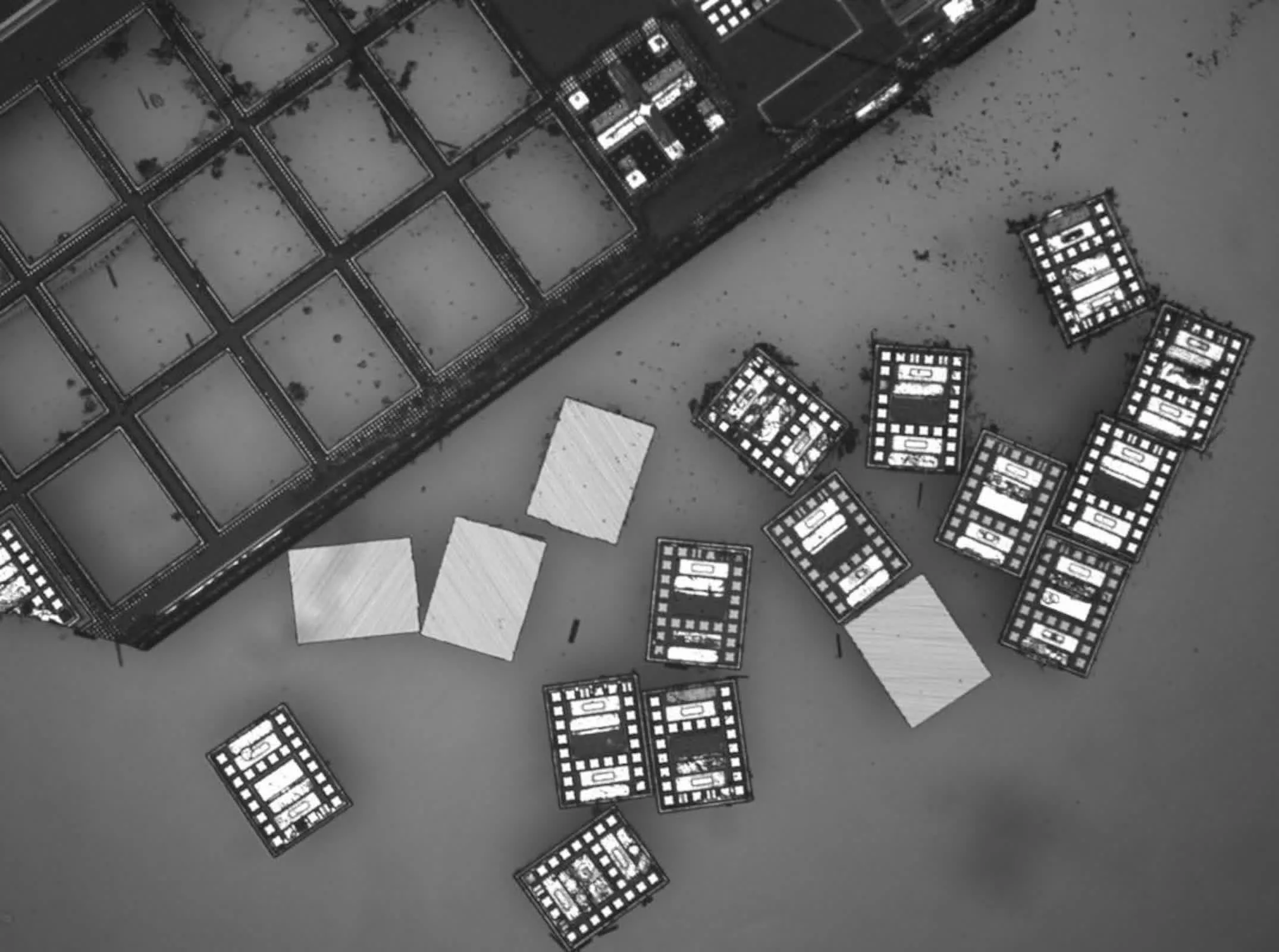 研究人员打造全球最小的自主机器人