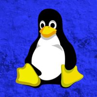 性能暴涨44%：Linux终于获得关键功能！Windows 10/11中早已存在数年